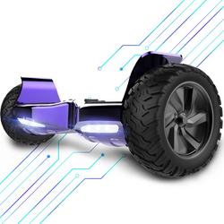  Hoverboard 8.5 Inch | 700W Motor | Bluetooth Speaker | Paars